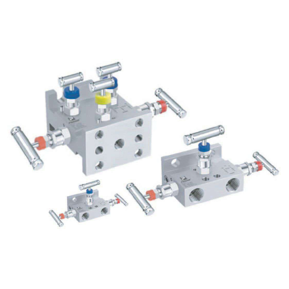 2-3-5 Valve Manifolds